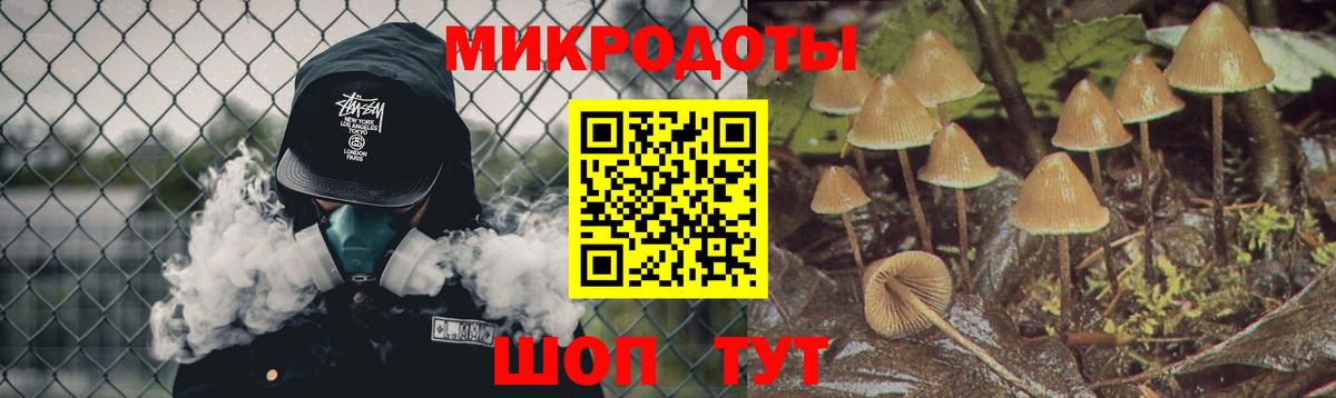 Псилоцибиновые грибы мухоморы  Вход с VPN  Галлюциногенные грибы Psilocybine cubensis  Щёкино 