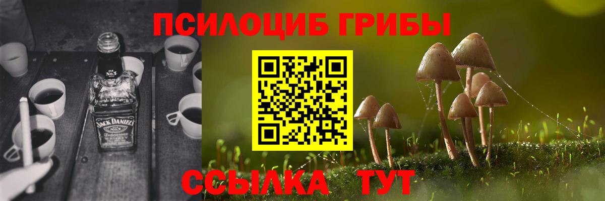 Псилоцибиновые грибы Psilocybine cubensis Щёкино
